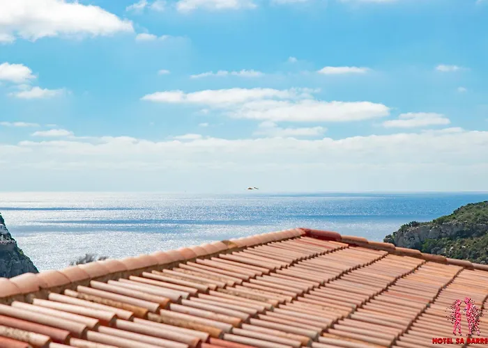 Hotel Sa Barrera - Adults Only